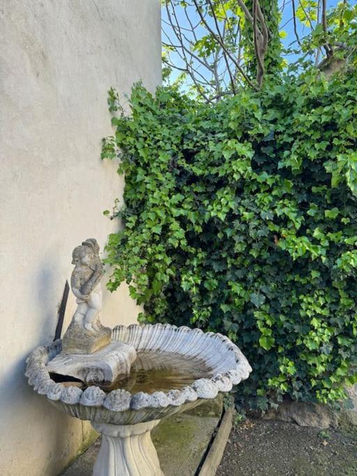 Appartement De Plain-Pied Avec Jardin Avignon Luaran gambar